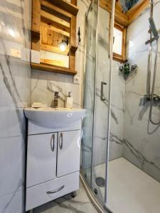 a bathroom with a sink and a shower at Brvnara Panda Tara in Rača