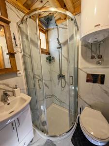 a bathroom with a shower and a toilet and a sink at Brvnara Panda Tara in Rača