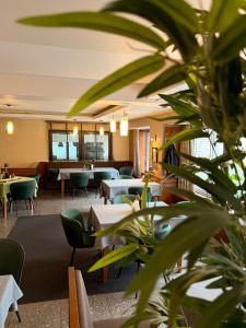 a restaurant with tables and chairs and a plant at Family Hotel EDI in Sofia +48 photos