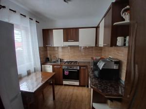 a kitchen with a sink and a stove top oven at Casa Ianis in Arieşeni