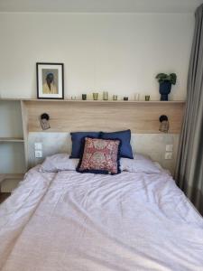 a bed with a wooden headboard with a pillow on it at Tiny House in Kropswolde