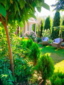 a garden with two chairs and a tree at Miętowy domek in Jagodne