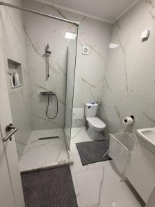 a white bathroom with a shower and a toilet at Scandinavian AP in Craiova