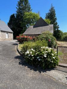 a garden of flowers in front of a house at Gîte du Dolmen in Guiscriff
