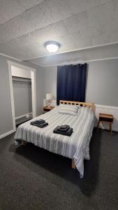 a bedroom with a large bed with a blue curtain at Oswego 2BR Ground-Floor Apt Near SUNY, Walk to Downtown & Lake Ontario in Oswego