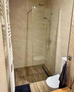 a bathroom with a glass shower with a toilet at Fenyőudvar Vendégház Mocsa in Mocsa