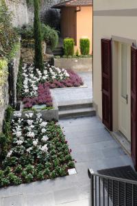 A garden outside Casa Brenna Tosatto Art Experience