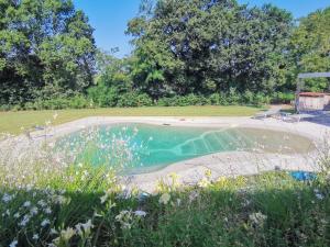 a swimming pool in the middle of a field with flowers at B&B Ca' Restom in Reggio Emilia +77 photos