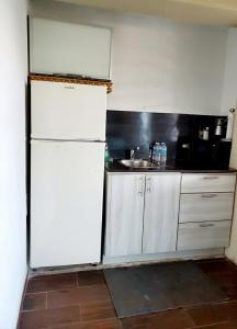 a kitchen with a white refrigerator and a sink at Apartamento parcha in Culebra