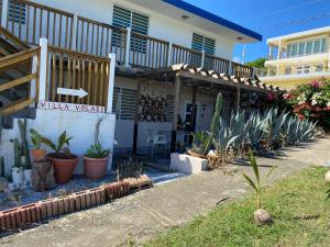 a bunch of plants in front of a house at Apartamento parcha in Culebra