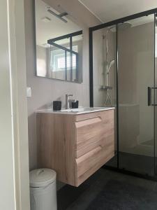 a bathroom with a sink and a shower at Zijperbries in Oudesluis +45 photos