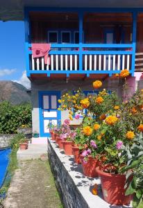 a bunch of flowers inront of a house at Sagun's Place in Phāphlu +6 photos