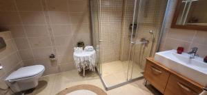 a bathroom with a shower and a toilet and a sink at Ephesus Suites in Selçuk