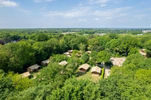 an overhead view of a forest with trees and huts at Gooise Heide in Huizen