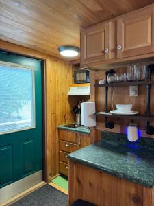 a kitchen with wooden cabinets and a green door at Quiet Mountain Top, Pet Friendly, Private Deck in Boone