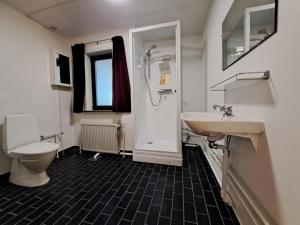 a bathroom with a toilet and a sink at Michelle's Blue House in Ilulissat +17 photos