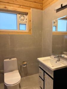 a bathroom with a toilet and a sink at Samlaun Chalet and Retreat in Kanatal