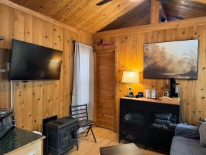 a living room with a fireplace and a tv on the wall at Quiet Mountain Top, Pet Friendly, Private Deck in Boone +7 photos