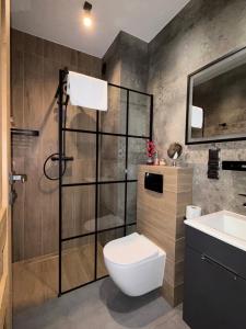 a bathroom with a toilet and a sink at Arcadia Home in Będzin +18 photos