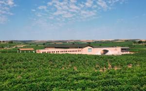 a large pink building in a field of grass at Alojamiento rural Solterra in Roa