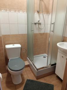 a bathroom with a shower and a toilet and a sink at Hotelik -Świerki in Swarzędz