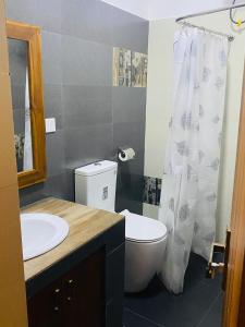 a bathroom with a toilet and a sink and a mirror at New Arverne Villa Kandy in Kandy