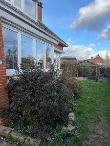 a house with a large bush in the yard at Maison Solesmes nord in Solesmes