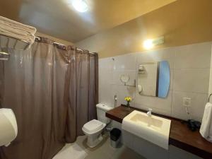a bathroom with a toilet and a sink and a shower at Cedros Pousada in Guaramiranga