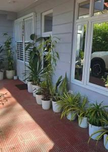 a bunch of potted plants on the front of a house at MEEK'S VILLAS TRANSIENT HOUSE in Baguio