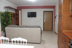 a living room with a couch and a flat screen tv at Catherine Suite in SantʼEufemia Lamezia