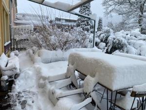 a garden covered in snow next to a house at Appartement contemporain Les Tulipes, 2 personnes à 300 m du lac de Gérardmer in Gérardmer