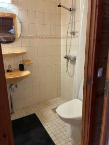 a bathroom with a toilet and a shower at Runneröd in Saltvik +13 photos
