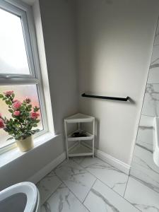 a bathroom with a sink and a window and a plant at Belles Haven in Belfast +23 photos
