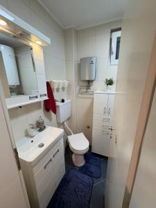 a small bathroom with a toilet and a sink at Apartman 23 in Belgrade