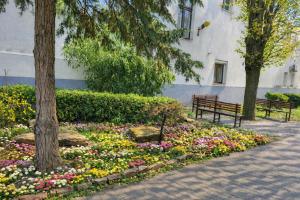 a garden of flowers in a park with a bench at Jázmin Apartman in Debrecen