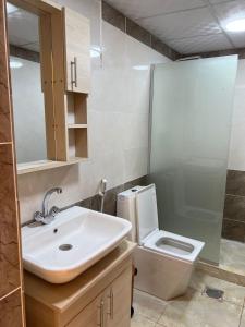 a bathroom with a sink and a toilet at Rina Luxury Camp in Wadi Rum