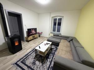 a living room with a couch and a tv at CAN appart spacieux avec grand jardin et terrasse 1 à 8 pers in Granges-sur-Vologne