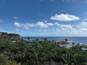 a beach with palm trees and the ocean at Rawacou Breeze in Kingstown