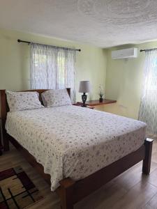 a bedroom with a bed and a lamp and windows at Rawacou Breeze in Kingstown
