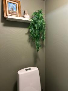 a green wreath above a toilet in a bathroom at Ulvsby Ranch Glamping in Karlstad