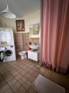 a bathroom with a toilet and a sink and a washing machine at seeglueck Retro Am Münster in Konstanz +32 photos