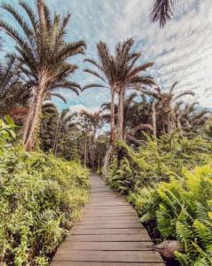 a wooden walkway with palm trees in the background at Mtunzini Rustic Retreat in Mtunzini