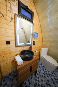 a bathroom with a sink and a toilet at Cottage TKESHI in Godogani