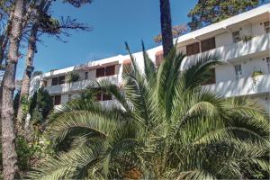 a palm tree in front of a building at Dunas I, 3 in Pinamar