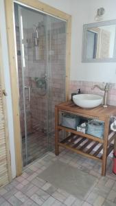a bathroom with a glass shower and a sink at Wild Serenity in Vadu +35 photos