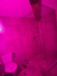 a pink bathroom with a toilet and a shower at love room les plaisirs partagés in Arles +7 photos