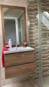 a bathroom with a sink and a shower at Pusztavár-Lak in Erdőhorváti +49 photos