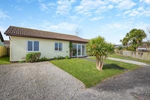 a house with a palm tree in front of it at 3 Bed in Padstow oc-p00131 in Saint Merryn