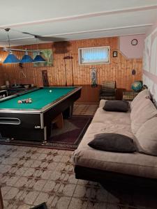 a room with a pool table and two couches at Ferienwohnung Sonnenschein mit Sauna und Billiard in Wachstein