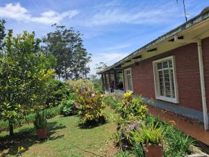 a brick house with plants in the yard at Villa Tahiti in Palmira